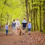 Ardennen Parque de Campismo Bertrix