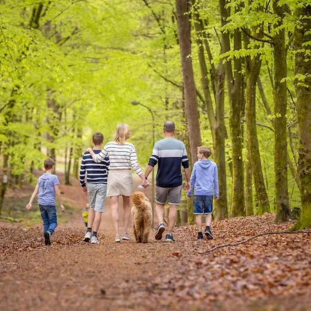 Ardennen Campingplads Bertrix